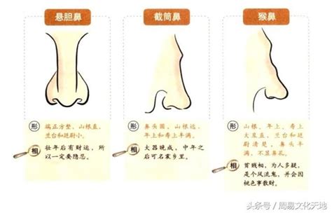 幾多歲行鼻運|幾歲行鼻運？運勢與鼻運的關聯性分析